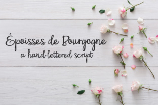 PN Époisses De Bourgogne: A Bouncy Script Font for Web Headers